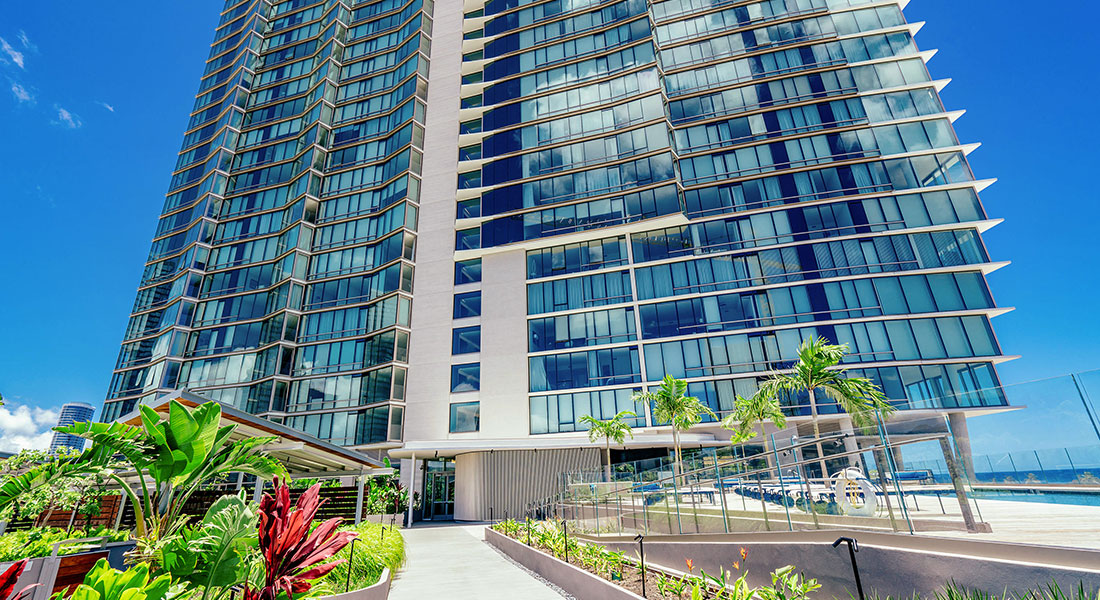 AE'O | アエオ | Hawaiian Joy